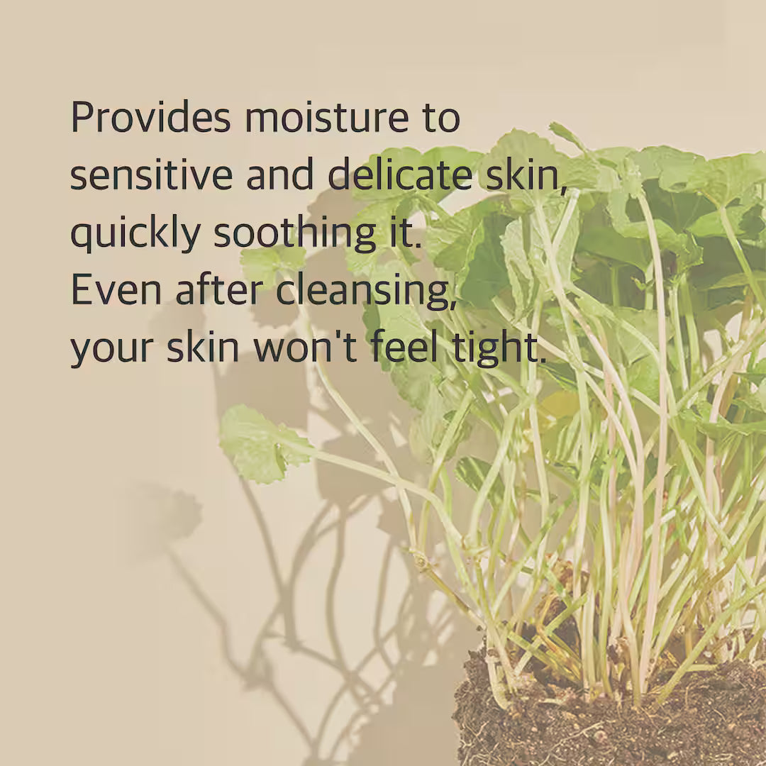 Mixsoon Centella Cleansing Foam (150ml) | Soothing Daily Face Wash