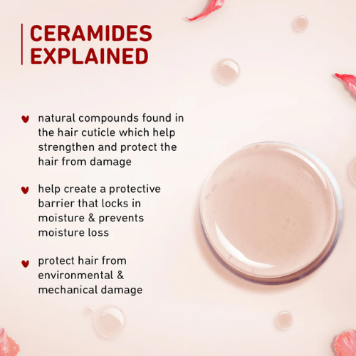 Plum Hibiscus & Ceramides Long & Healthy Conditioner 175g