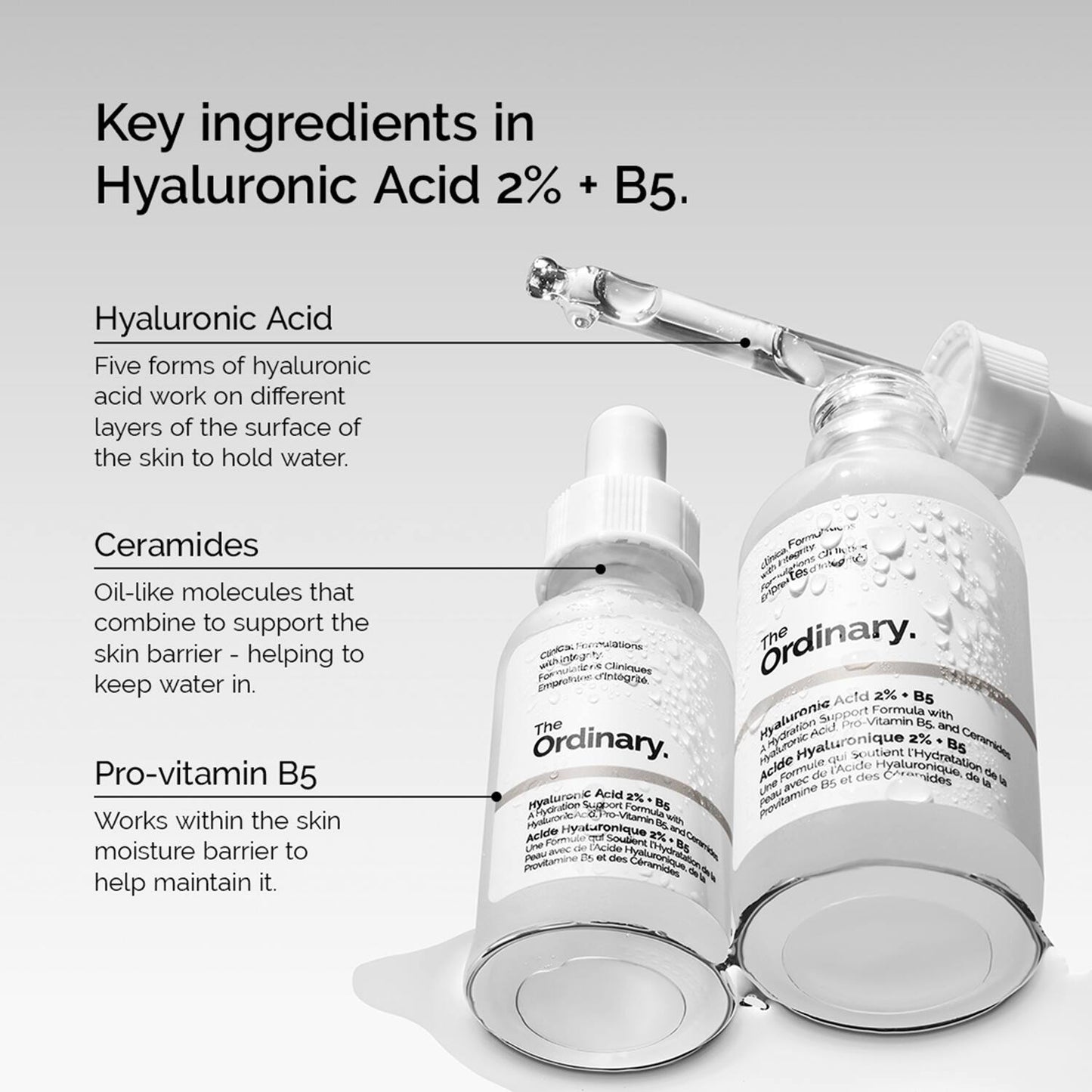 The Ordinary Hyaluronic Acid 2% + B5 V2 Next Gen (30 ml)