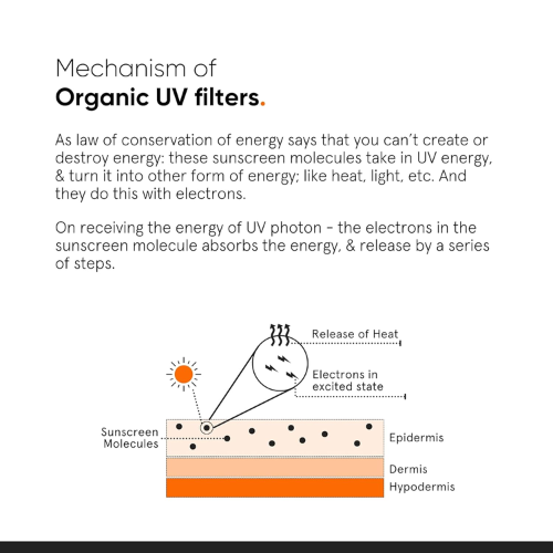 Minimalist Light Fluid SPF 50 Sunscreen