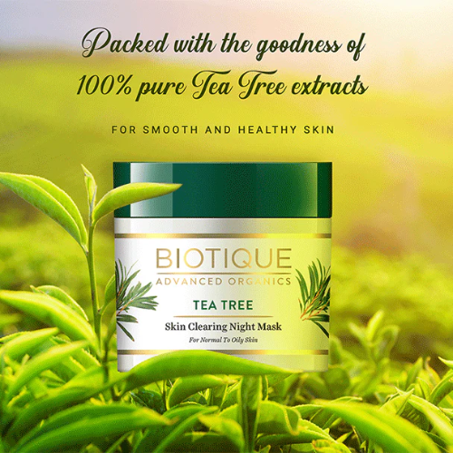Biotique Tea Tree Skin Clearing Night Mask 50g