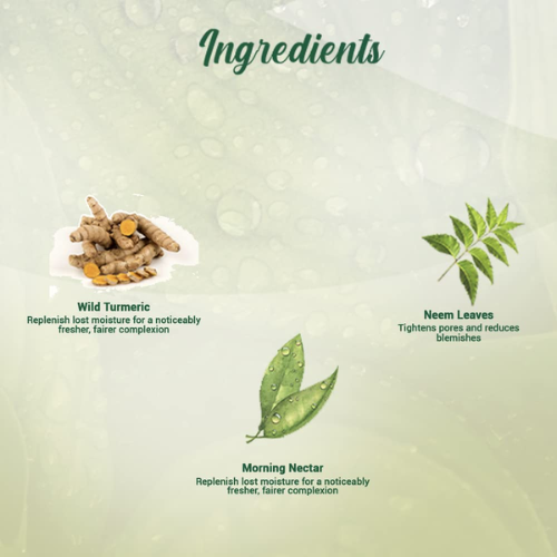 Biotique Morning Nectar Face Wash for Dry Skin