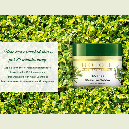 Biotique Tea Tree Skin Clearing Clay Mask 70g
