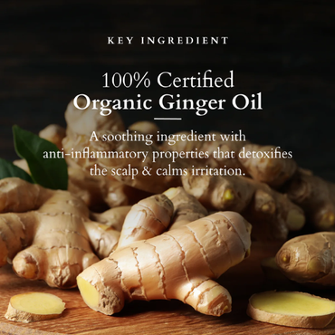 Lotus Organics+ Intensive Scalp Revitalizing Tonic