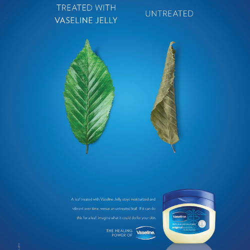 Vaseline Skin Protecting Jelly | Healing Moisture Care