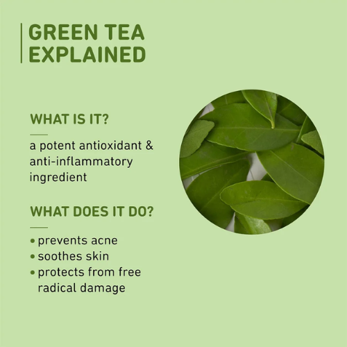 Plum Green Tea Mattifying Moisturizer for Oily Skin 50ml