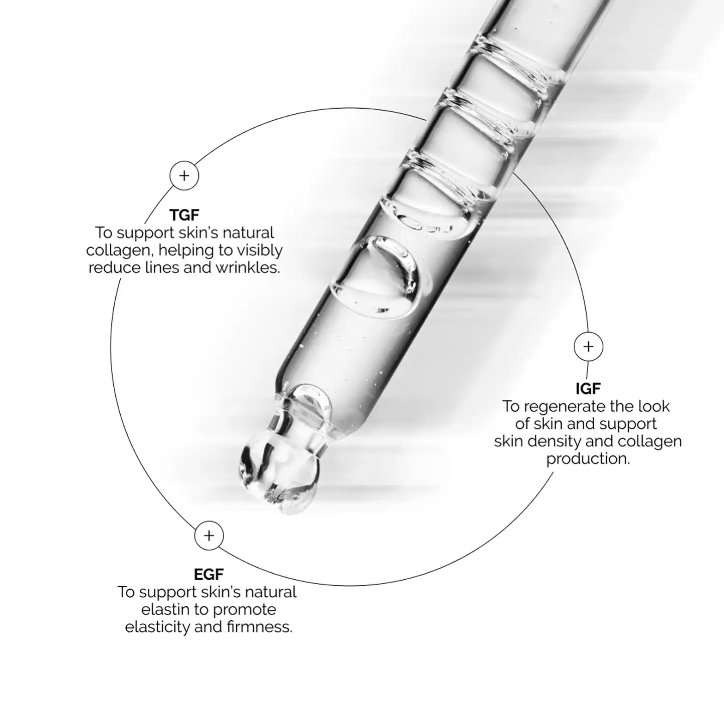 The Ordinary Growth Factors Solution 15% Serum (30 ml)