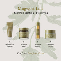 I’m From Mugwort Cream (50g) | Soothing & Calming Moisturizer