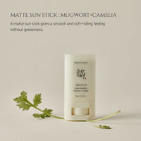 Beauty of Joseon Matte sun stick (18 gm)
