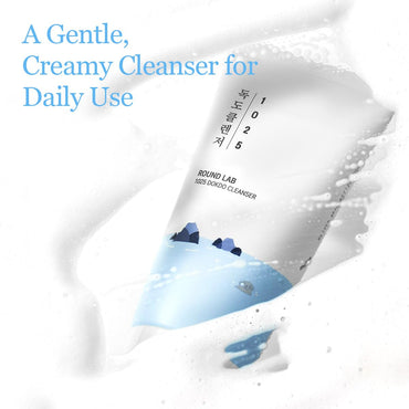 ROUND LAB 1025 Dokdo Cleanser | Hydrating Foam Face Wash with Deep Sea Water (150ml)
