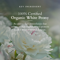 Lotus Precious Brightening Crème SPF 20 | Daily Glow & Sun Protection