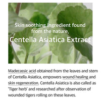 Mixsoon Soondy Centella Asiatica Essence (100 ml)