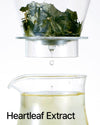 Anua Heartleaf 70% Soothing Cream (100 ml)