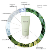 Mixsoon Master Gentle Recipe Foam Cleanser (150 ml)