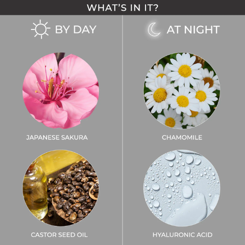 Lotus Proedit Day & Night Mascara