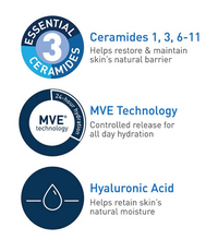 Daily Moisturizing Lotion – Lightweight Hydration for All Skin Types