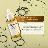 Madagascar Centella Ampoule SKIN 1004 (100 ml)