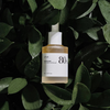 Anua Heartleaf 80+ Panthenol Moisture Soothing Ampoule (30 ml)