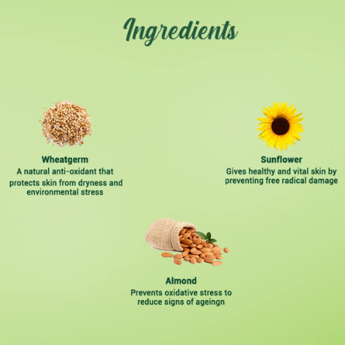 BIOTIQUE Wheatgerm Anti-Ageing Night Cream