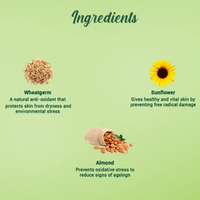 BIOTIQUE Wheatgerm Anti-Ageing Night Cream