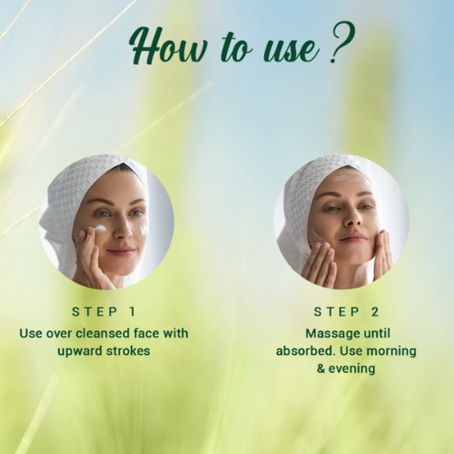 BIOTIQUE Wheatgerm Anti-Ageing Night Cream