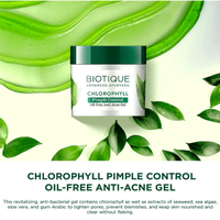 Biotique Chlorophyll Anti-Acne Gel 50g | Oil-Free Care