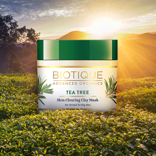 Biotique Tea Tree Skin Clearing Clay Mask 70g
