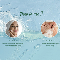 Biotique Neem Pimple Control Face Wash for Acne