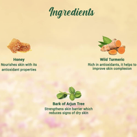 Biotique Honey Gel Foaming Face Wash for Dry Skin