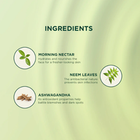 Biotique Morning Nectar Hydrating Serum 40ml