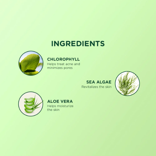 Biotique Chlorophyll Anti-Acne Gel 50g | Oil-Free Care