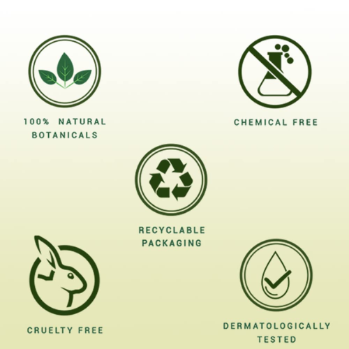 Biotique Morning Nectar Face Wash Pack of 2 | Hydrating