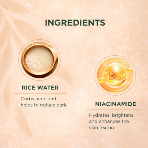 Biotique Rice Water & Niacinamide Gel Moisturizer 50ml