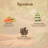 Biotique Sun Shield Carrot Sunscreen SPF 40+