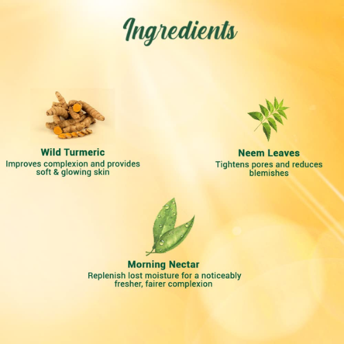 BIOTIQUE Morning Nectar SPF 30+ Moisturizer 120ml