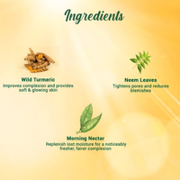 BIOTIQUE Morning Nectar SPF 30+ Moisturizer 120ml