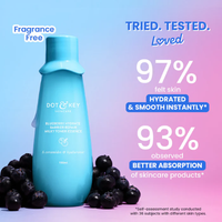 dot and key Blueberry Hydrate Barrier Repair Milk Face Toner 150ml