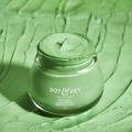 Dot & Key Cica & Salicylic French Green Clay Face Mask