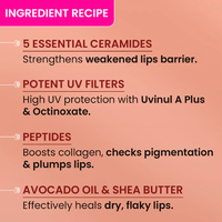 Dot & Key Ceramide + Peptide Lip Balm SPF 50 PA+++ (Warm Nude)
