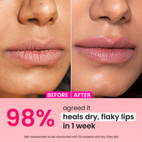 Dot & Key Ceramide + Peptide Lip Balm SPF 50 PA+++ (Plush Pink)