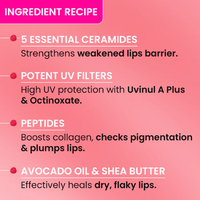 Dot & Key Ceramide + Peptide Lip Balm SPF 50 PA+++ (Plush Pink)