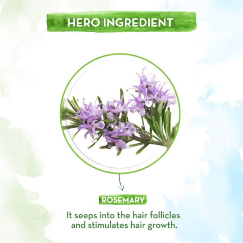 Mama Earth Rosemary Essential Oil for Hair Growth – 15ml