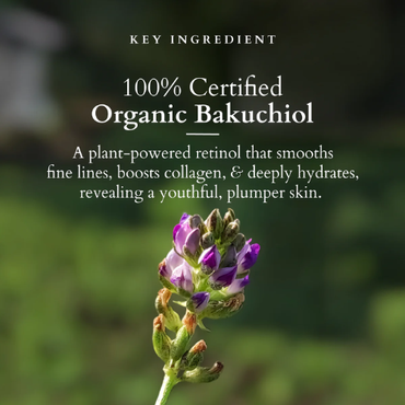 Lotus  Bakuchiol Plant Retinol Crème | Gentle Anti-Aging Care