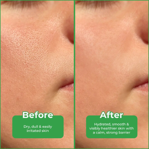 WOW Korean Bamboo Gel with Peptide | 99% Pure Bamboo Extract | 200 ml