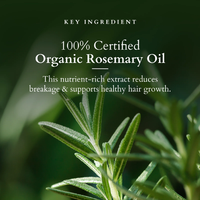 Lotus Organics+ Hair Growth Active-Concentrate Serum