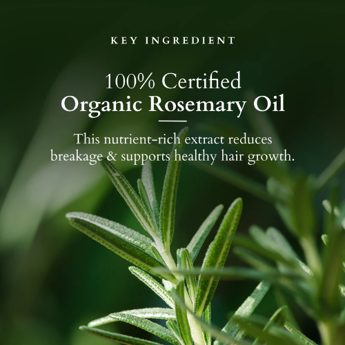 Lotus Organics+ Hair Fall Control Multi Herbs Oil