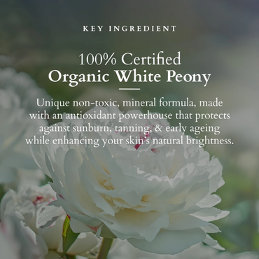Lotus Organics+ Sheer Brightening Mineral Sunscreen SPF 50