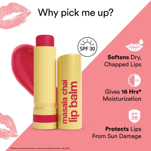 WOW Masala Chai Lip Balm | 4 g