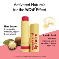 WOW Masala Chai Lip Balm | 4 g