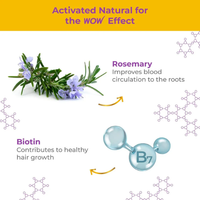 WOW Rosemary Hair Growth Oil To Control Hair Fall | 200 ml